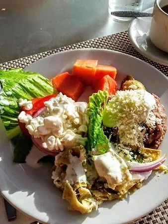 The Ivory Pine Bed & Breakfast Shimla